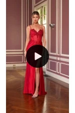Ladivine Dress CDS559