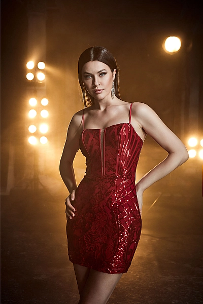 Aerie Couture Dress 808
