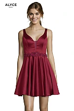 Alyce Paris Dress 1464