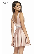 Alyce Paris Dress 1466