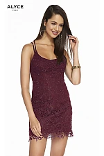 Alyce Paris Dress 1473