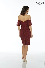 Alyce Paris JDL Dress 27409