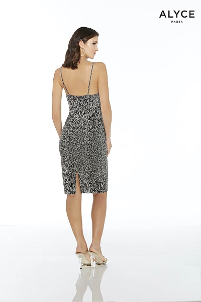 Alyce Paris JDL Dress 27413