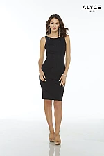 Alyce Paris JDL Dress 27417