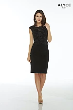Alyce Paris JDL Dress 27438