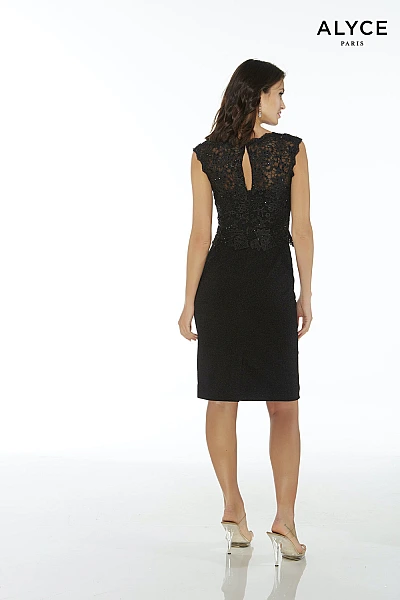 Alyce Paris JDL Dress 27438