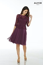 Alyce Paris JDL Dress 27446