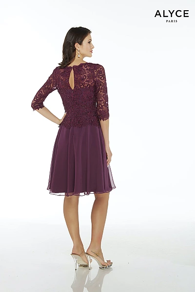 Alyce Paris JDL Dress 27446