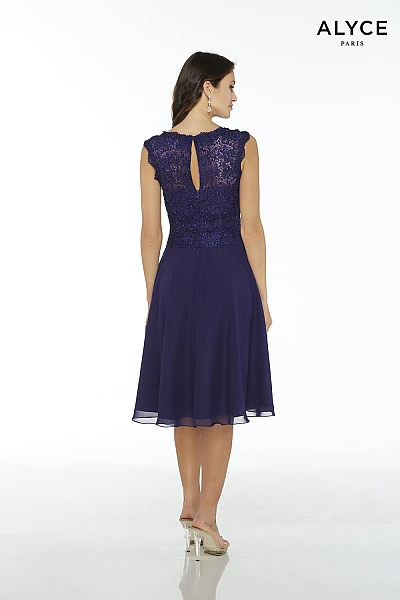 Alyce Paris JDL Dress 27449