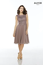 Alyce Paris JDL Dress 27449