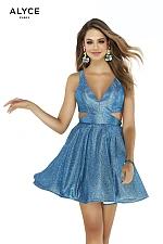 Alyce Paris Dress 3003