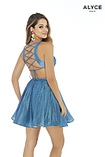 Alyce Paris Dress 3003