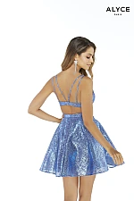 Alyce Paris Dress 3004