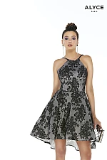 Alyce Paris Dress 3009