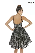 Alyce Paris Dress 3009