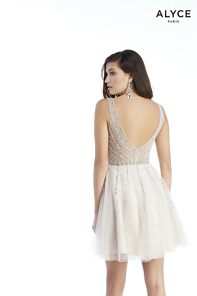 Alyce Paris Dress 3015