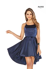 Alyce Paris Dress 3024