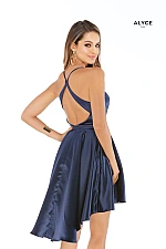 Alyce Paris Dress 3024