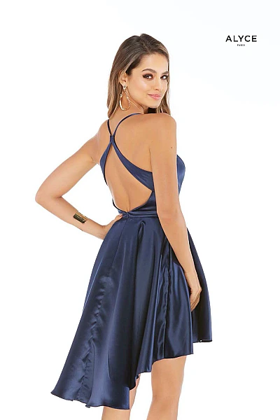Alyce Paris Dress 3024