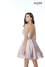 Alyce Paris Dress 3028
