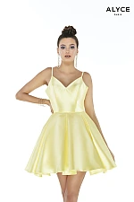 Alyce Paris Dress 3029