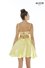 Alyce Paris Dress 3029