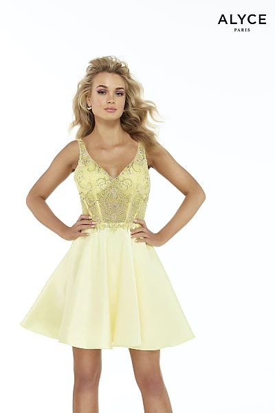 Alyce Paris Dress 3037