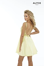 Alyce Paris Dress 3037