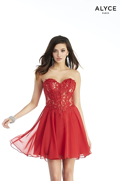 Alyce Paris Dress 3047