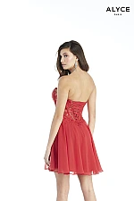 Alyce Paris Dress 3047