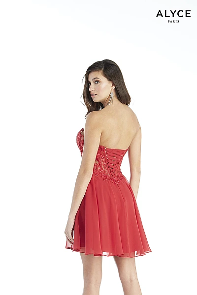 Alyce Paris Dress 3047