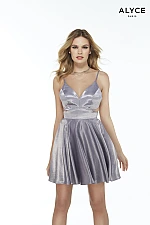 Alyce Paris Dress 3048