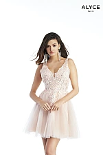 Alyce Paris Dress 3055