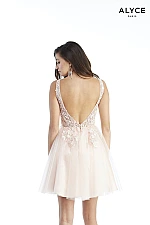 Alyce Paris Dress 3055