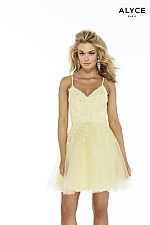 Alyce Paris Dress 3066
