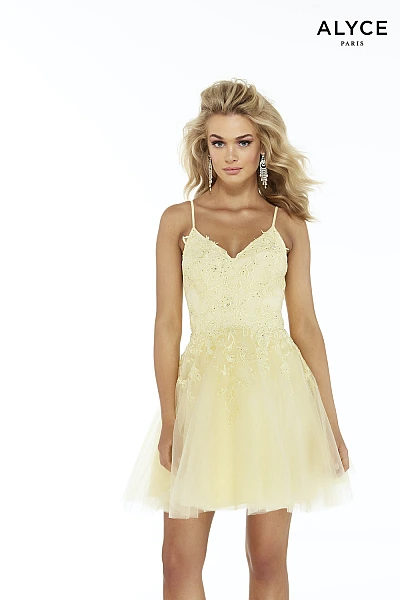 Alyce Paris Dress 3066
