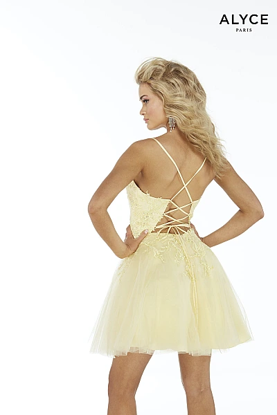 Alyce Paris Dress 3066