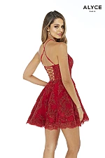 Alyce Paris Dress 3070