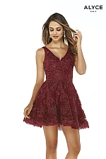 Alyce Paris Dress 3071