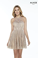 Alyce Paris Dress 3073