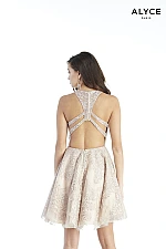 Alyce Paris Dress 3073