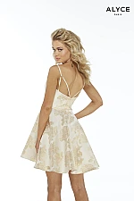 Alyce Paris Dress 3077