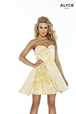 Alyce Paris Dress 3078