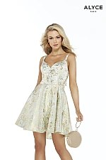 Alyce Paris Dress 3080