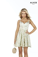Alyce Paris Dress 3080