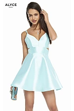 Alyce Paris Dress 3879