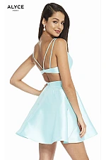 Alyce Paris Dress 3879