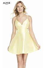 Alyce Paris Dress 3879