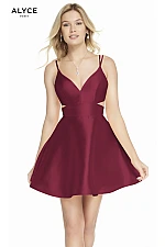 Alyce Paris Dress 3879