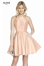 Alyce Paris Dress 3887